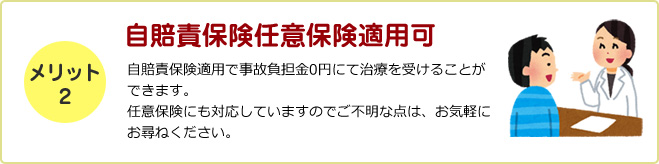 自賠責保険/任意保険適用可